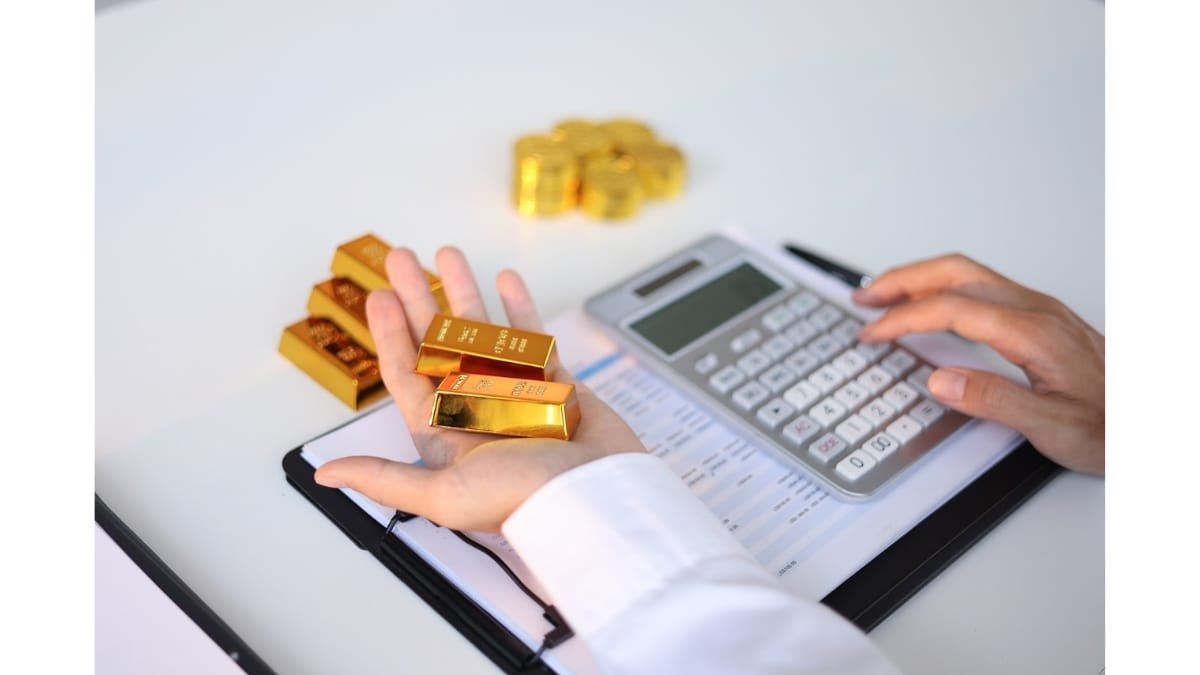 Mastering Gold Trading with an XAU USD Pip Calculator-PNN